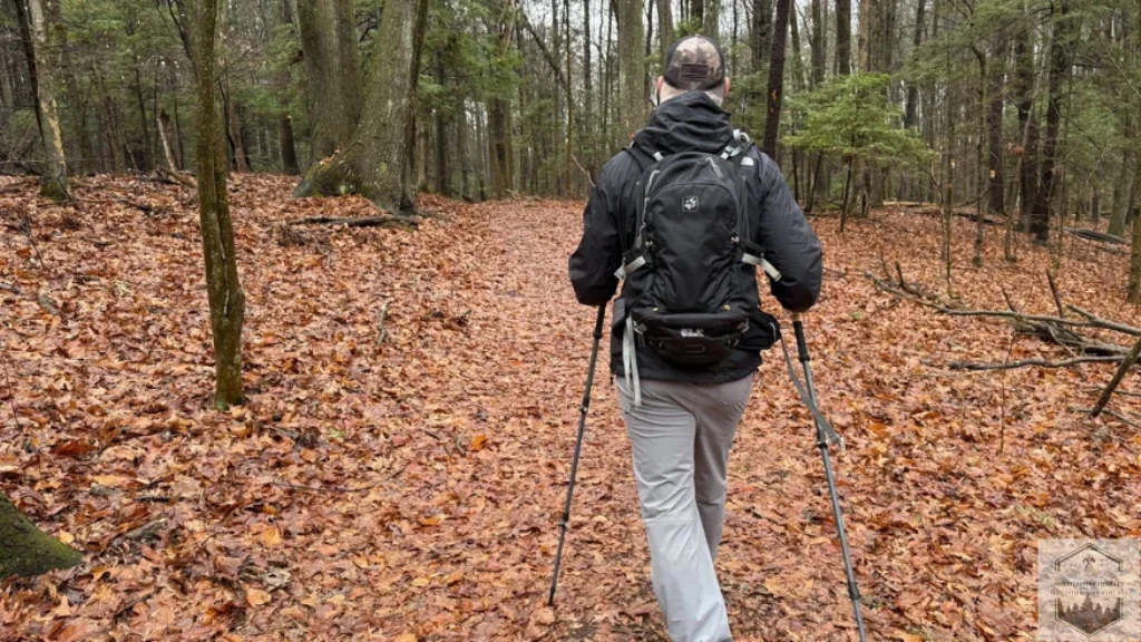 Using Trekking poles while traversing terrain in the woods