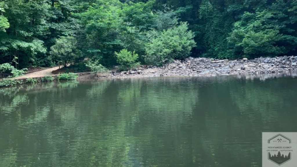 Base Of Amicalola Falls at the reflection pool