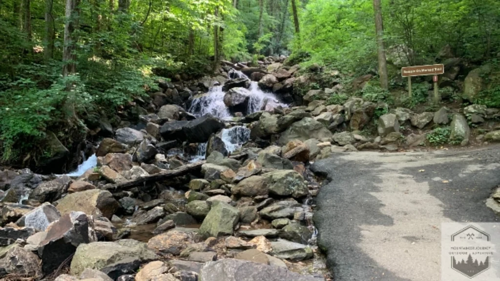 Start of Asphalt Path near stairs of Amicalola Falls
