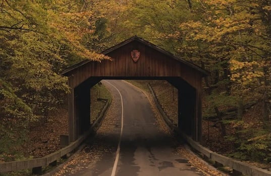 Road to national park