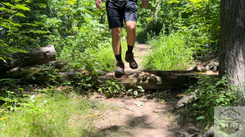 The Merrell Moab 3 (shown above) is easily one the best values you can get on the hiking boot market