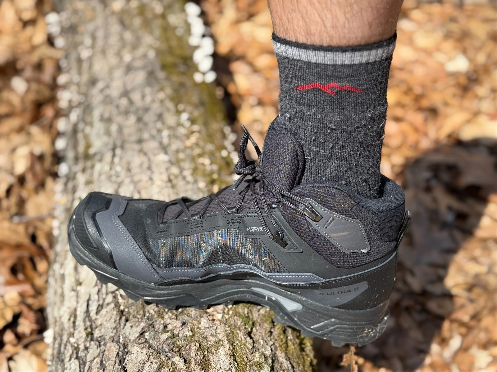 Salomon X Ultra 5 resting on tree branch, highlighting the new matryx upper