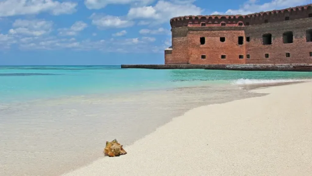 blog-img-1697987983477 Dry Tortugas National Park