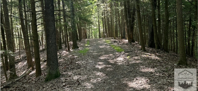 Hiking trail