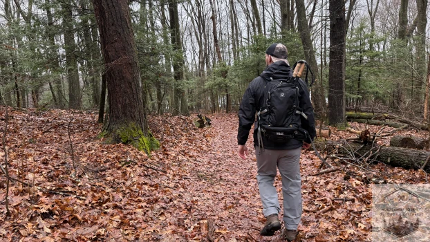 Trekking in the woods