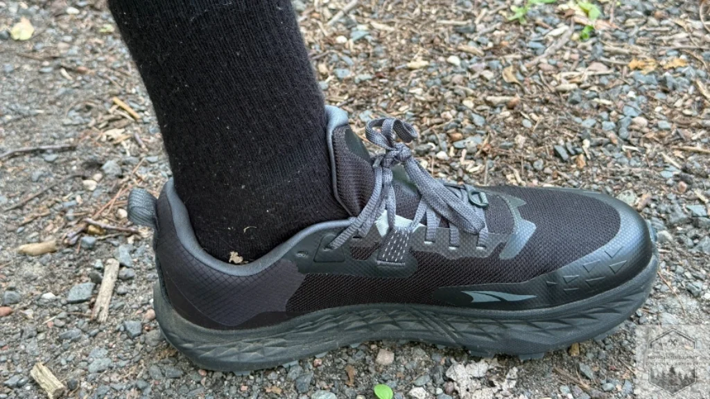 Top down view medial side of Timp 5