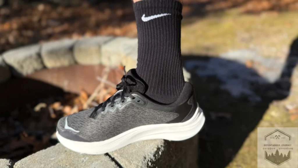 Upper view of the Solimar 2